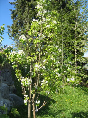 07.05.2009