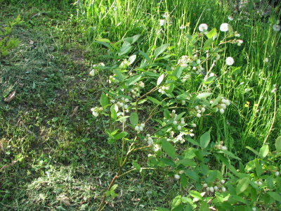23.05.2009