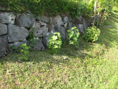23.05.2009