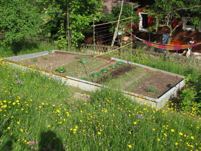 23.05.2009