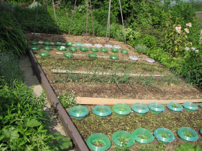 27.5.09