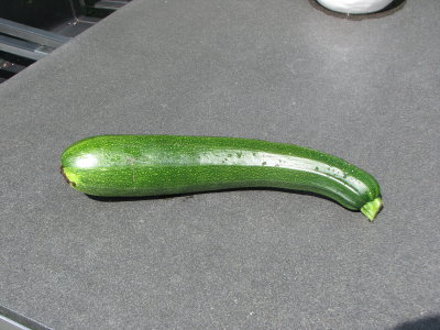 Zucchetti