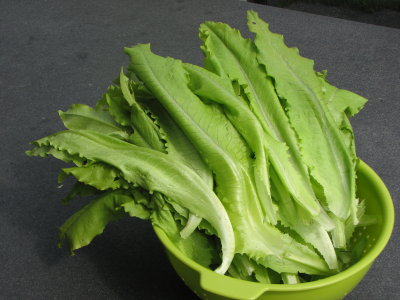 Schnittsalat