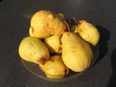Williamsbirnen