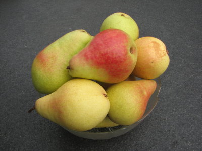 Petersbirne