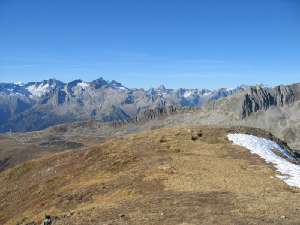 20 Fleckistock Titlis