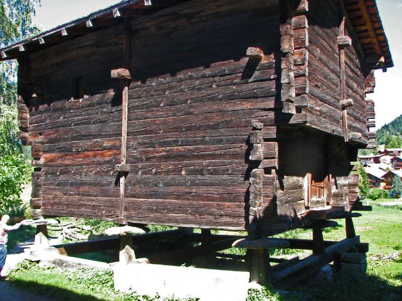 06 Speicher auf Pilzen