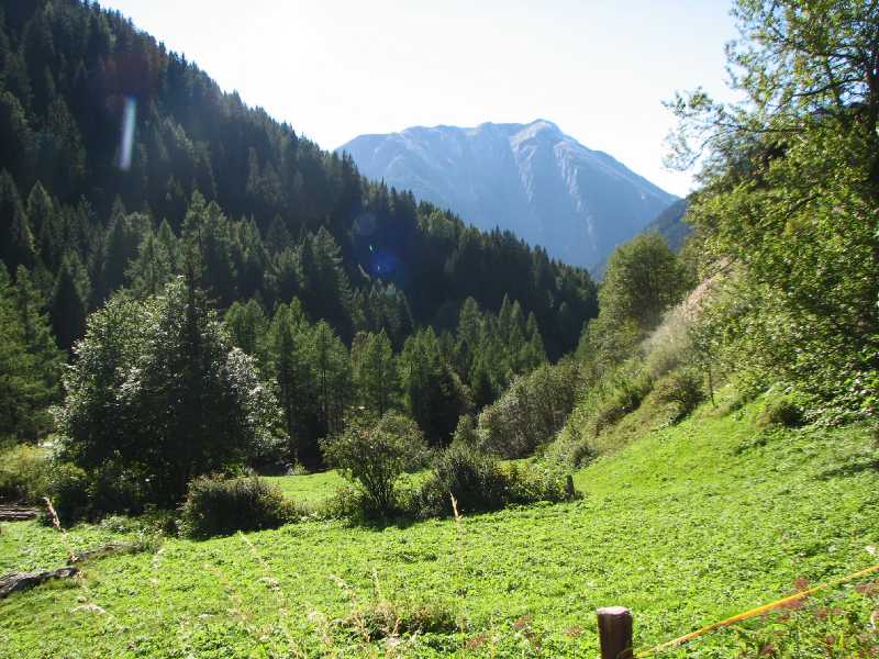 21 Ofenhorn