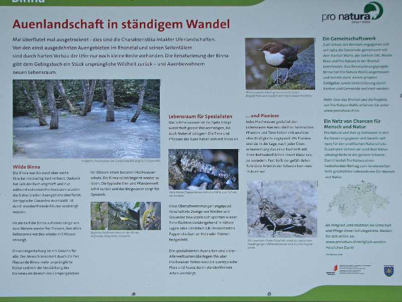 22 Renarurierung