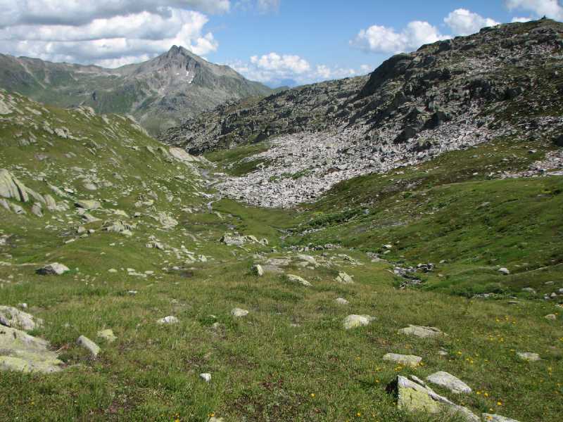 25 Steinwste