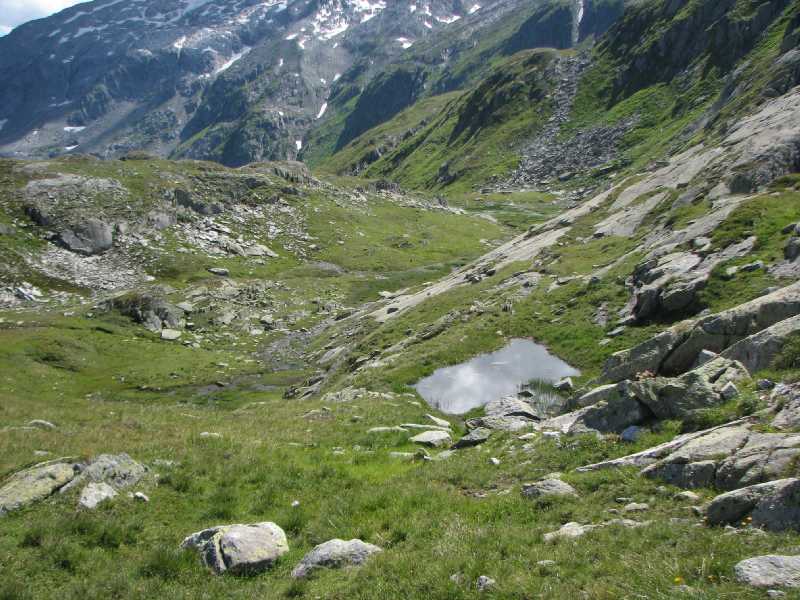 41 eigene Landschaft