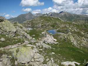 32 weitere Seelein