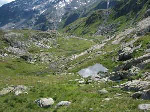 41 eigene Landschaft