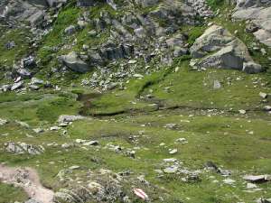 44 freier bachlauf
