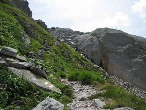 15 steil bergan