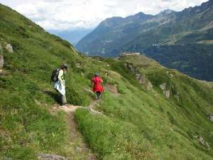 38 Alpe di Pescim (gegenber)